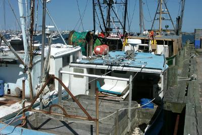 Scituate Harbor, Commercial Fishermen