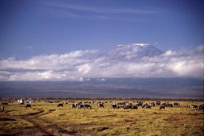 u41/chammett/medium/33261015.Kilimanjaro.jpg