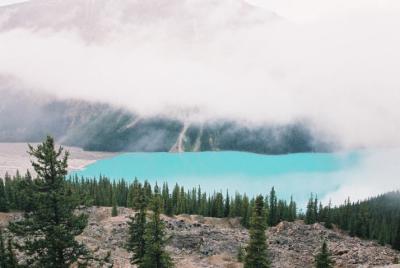 Peyto Lake - Banff N.P.