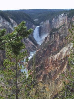 Lower Falls - Yellowstone N.P.
