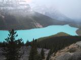 Peyto Lake - Banff N.P.