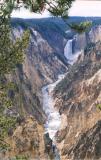 Lower Falls - Yellowstone N.P.