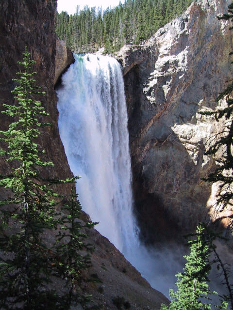 Lower Falls - Yellowstone N.P.