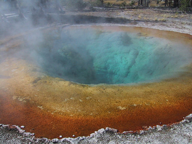 Morning Glory - Yellowstone N.P.