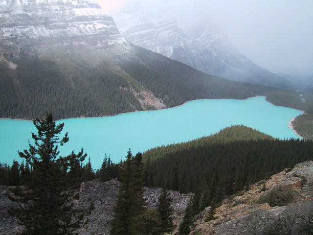 Peyto Lake - Banff N.P.