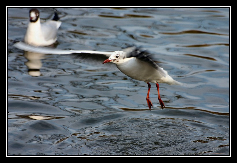 wasserpark