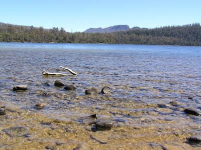 Lake St Clare - Tasmania
