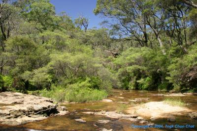 Wentworth Falls 03