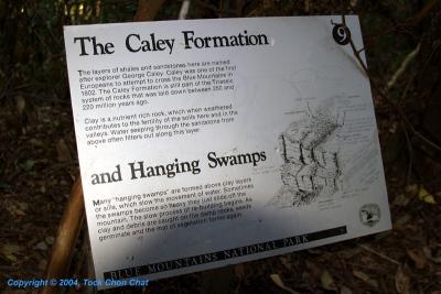 The Caley Formation And Hanging Swamps