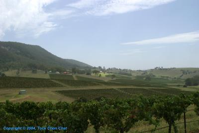 Way To Hunter Valley