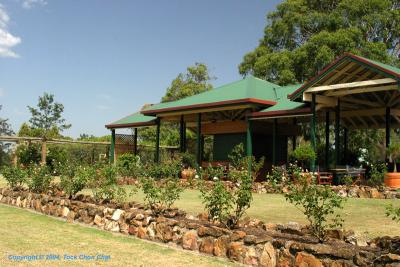 Golden Grape Estate 08
