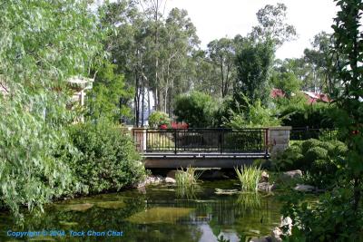 Hunter Valley Town 03