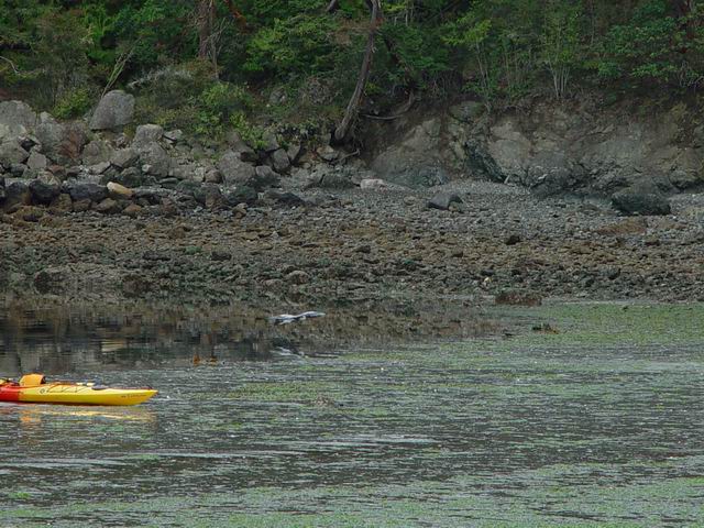 DSC00404.JPG