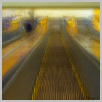 CRW_0240_SQ.jpg
