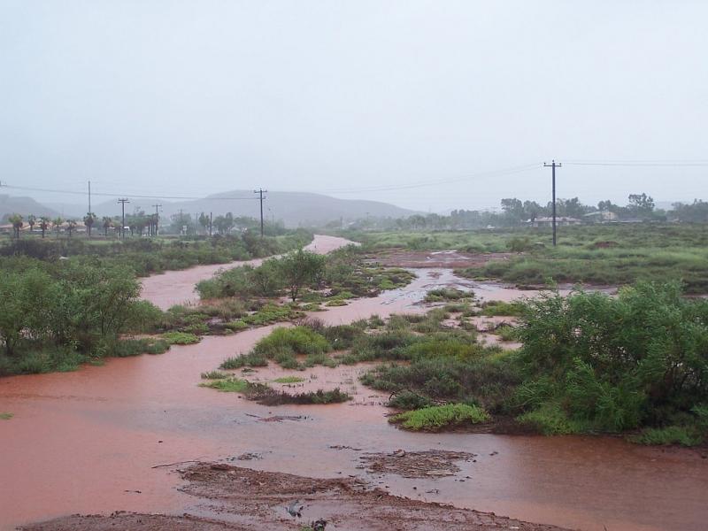 Draining Wickham.jpg