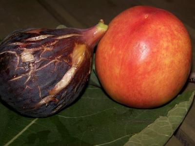 Of Peaches & Figs.jpg