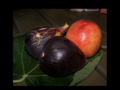 Of Peaches & More Figs.jpg