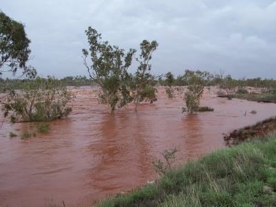 The Harding River in Flood.jpg