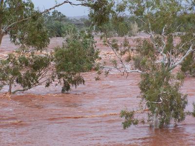 The Harding River in Flood1.jpg