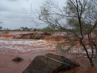 The Harding River in Flood4.jpg