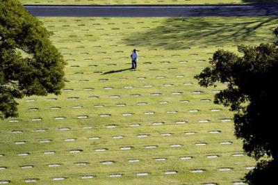 Headstone Trimmer