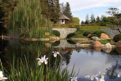 Japanese Gardens - 11/03
