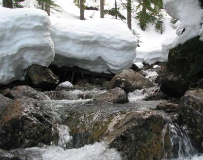 03 Stream in Commonwealth Basin