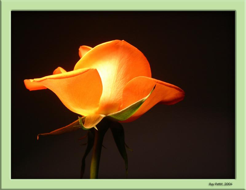 March 12 2004:<br>Through the Darkness