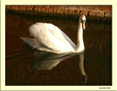 March 2 2004: One of the Queen's