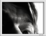 March 8 2004:<br> Peek-a-Boo