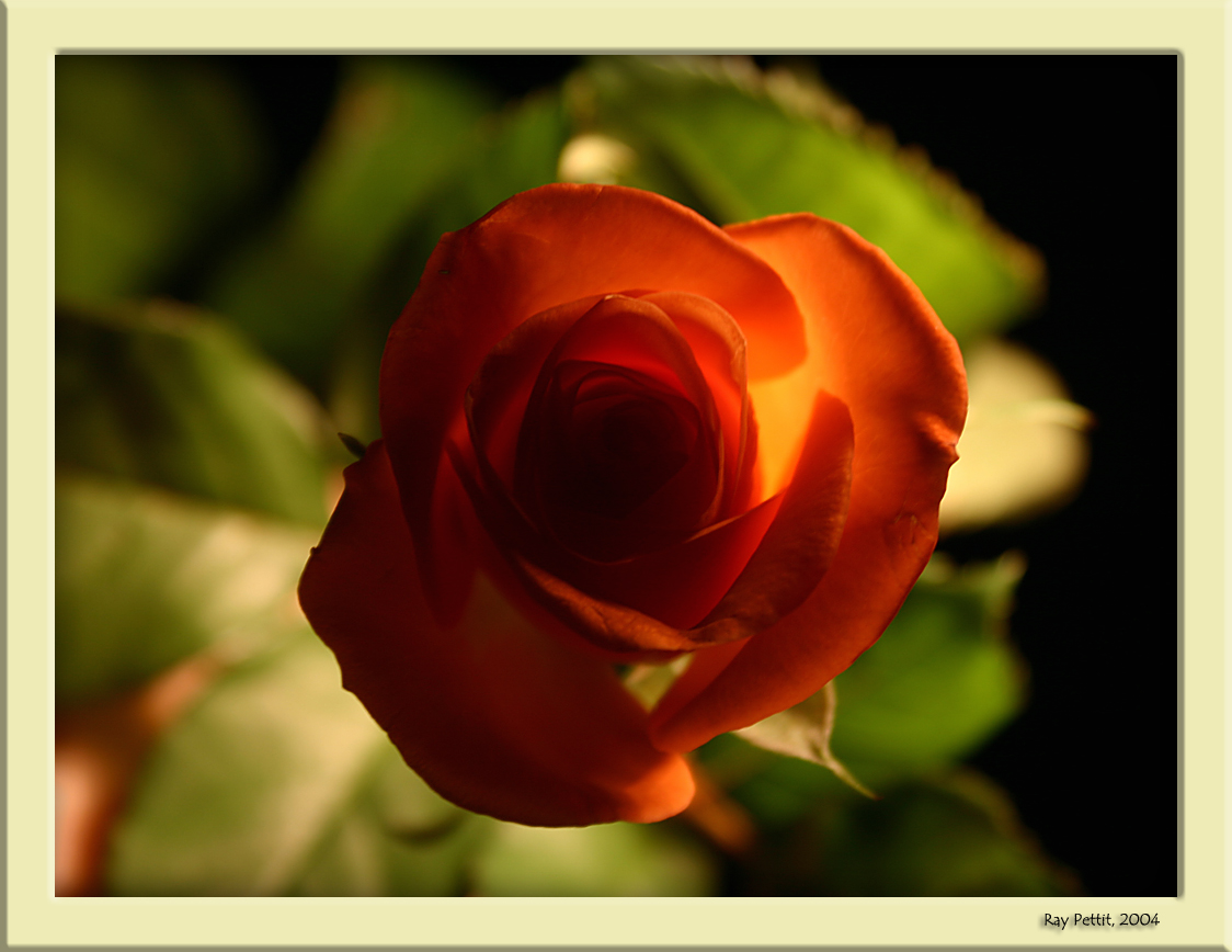 March 11 2004:<br> For All of Us