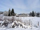 Farm down the road - in snow