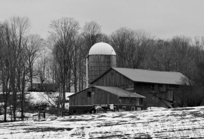 farm on robinson hill