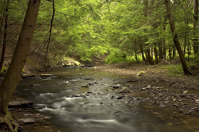 Fall Creek #2