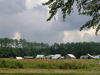 03 SEP 04 FARM