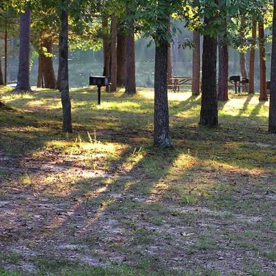 Evening Shade