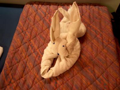 No pictorial of the cruise could be complete w/out a picture of the towel animals