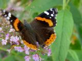 DSC00017.JPG