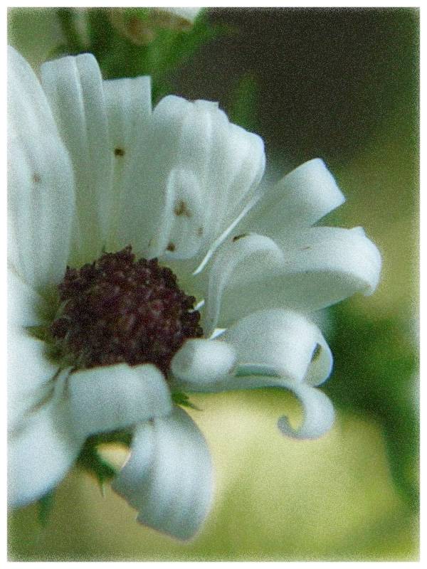 September 21, 2004<br><font size=2>The Eye of the Beholder</font><br>Day 138
