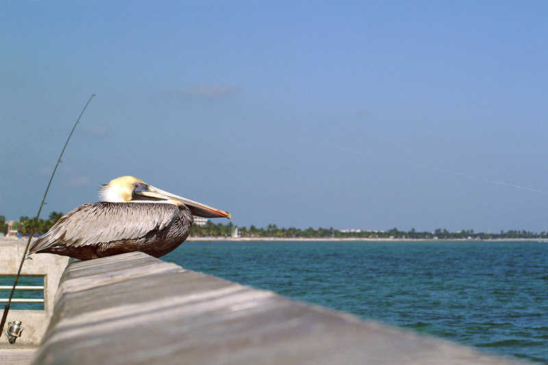 DSCF2192.jpg