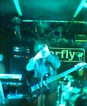 barfly4.jpg