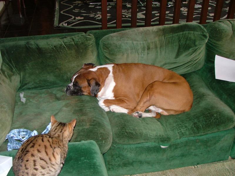 DSCF1323.JPG