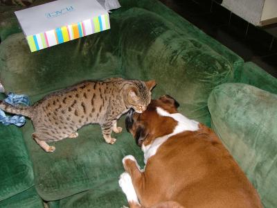 DSCF1324.JPG
