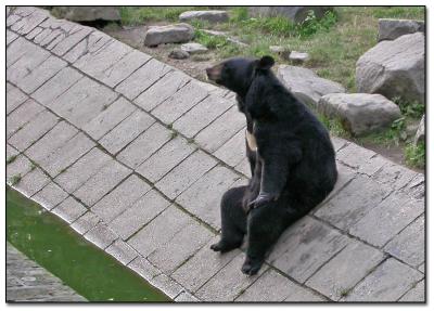 Hey, give me some honey! *