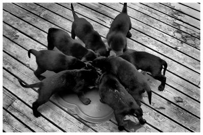 Dinner! *