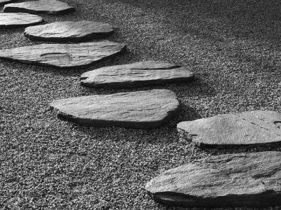 Zen Garden Stepping Stones by Paul Sumi
