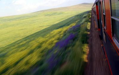 <b>Runaway Train</b>*<br>by enthios
