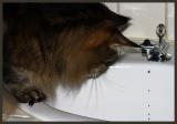 <B>Wow Mom, Look at That</B><BR>*<FONT size=2>Ann Chaikin</FONT>