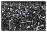 <b>Bikes *</b> by Teapot<br>