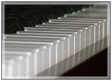 <B>Piano Keys *</B>